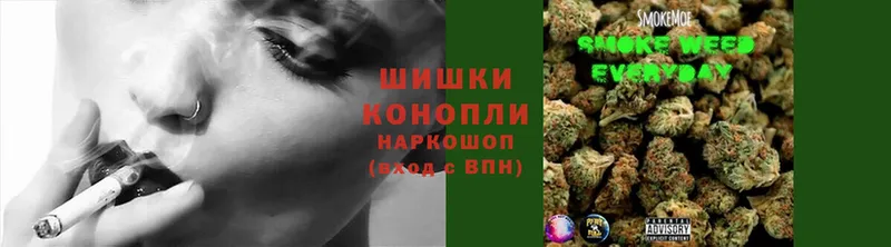 как найти   Зеленогорск  Бошки марихуана Ganja 